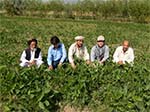 Success of Korea’s Rural Development Program Applicable to Afghanistan
